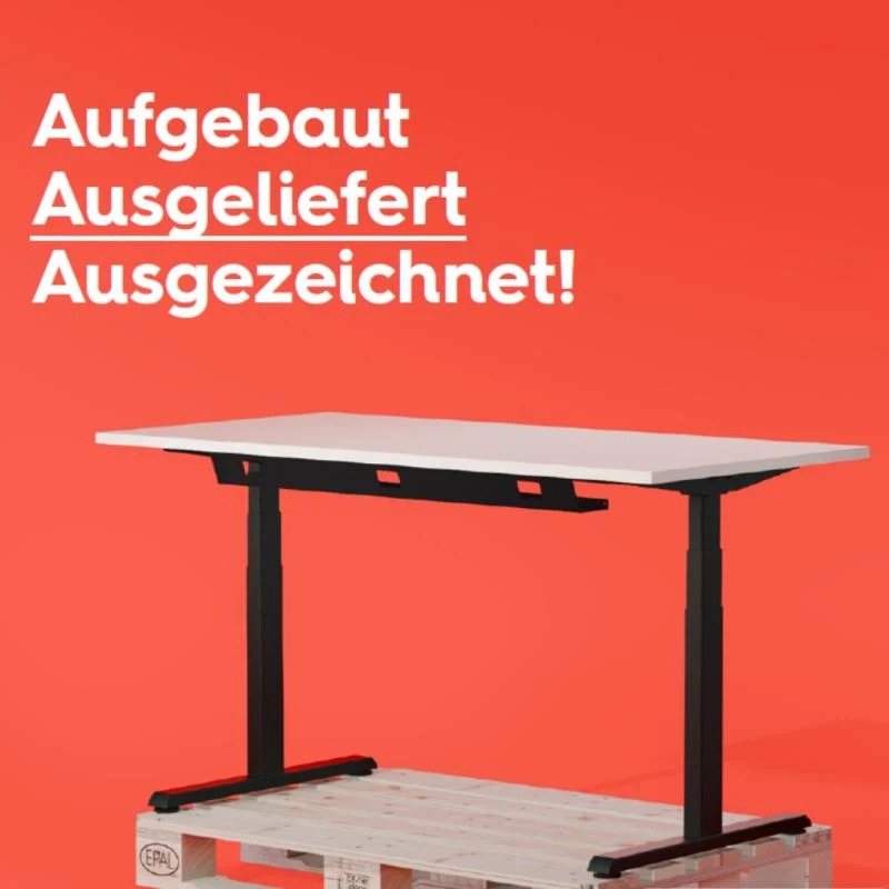 Flex Motor-Tischgestell / Eigenmarke inkl. Tischplatte