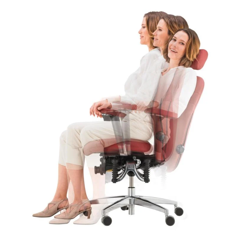 Bioswing 460 IQ Bestseller / / Hausstuhl