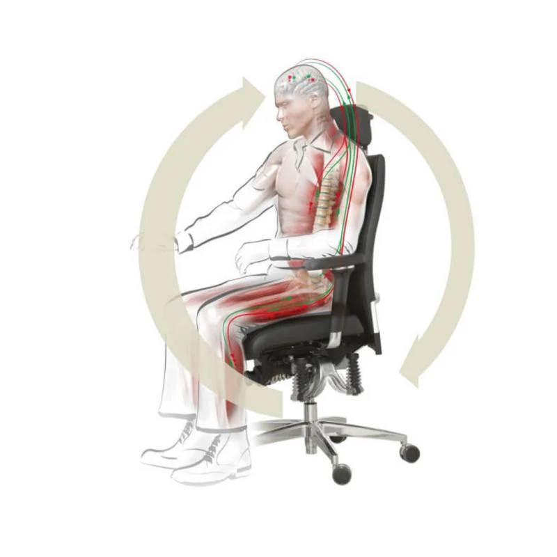 Bioswing 460 IQ Bestseller / / Hausstuhl