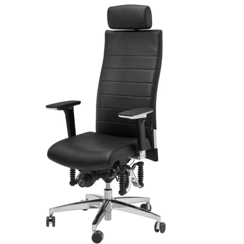 Bioswing 670 IQ Leder Bestseller