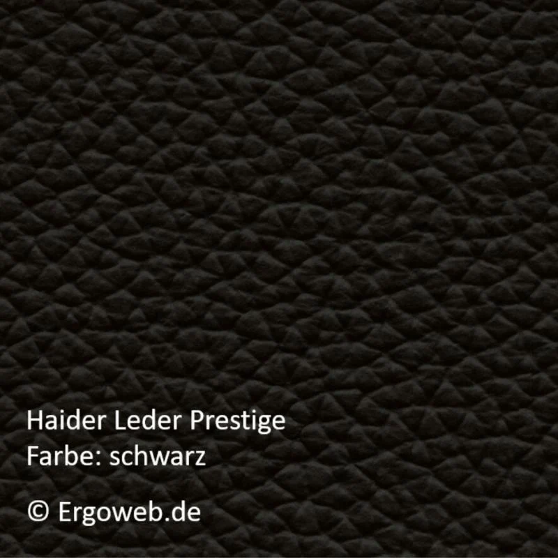 Bioswing 670 IQ Leder Bestseller
