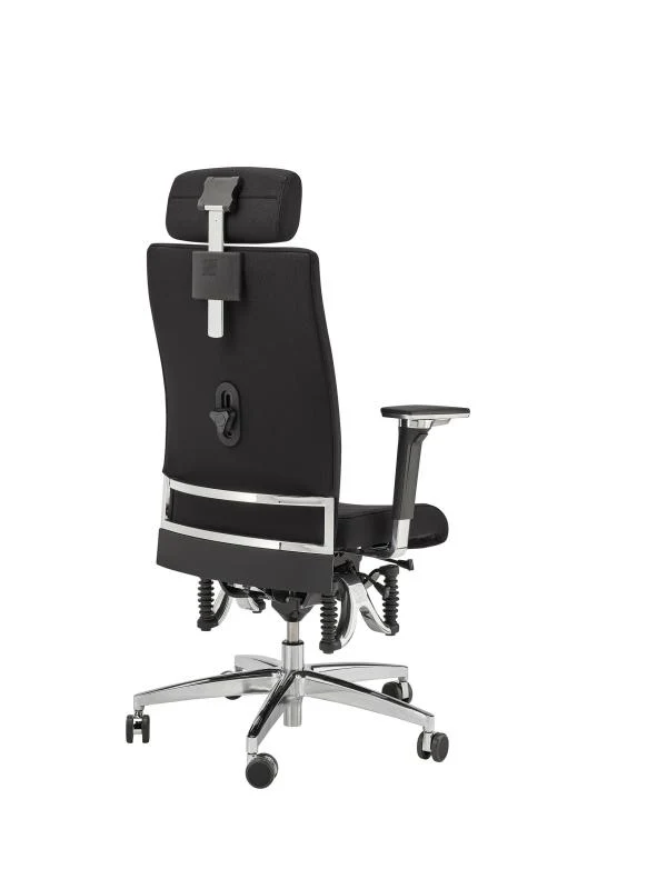Bioswing 660 IQ Bestseller Stoff //Hausstuhl
