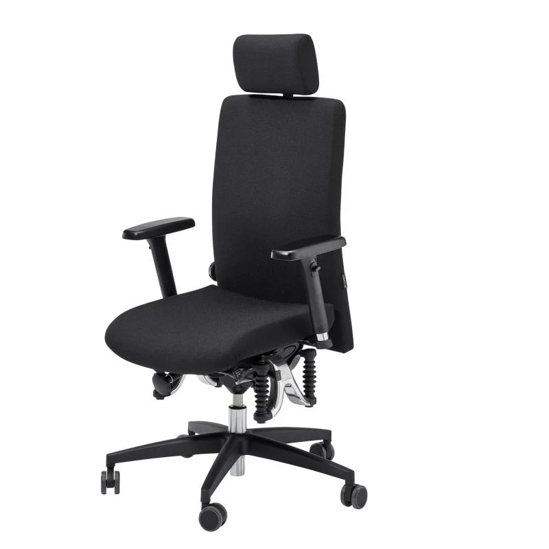 Bürostuhl Haider Bioswing 360 IQ Bestseller // Hausstuhl