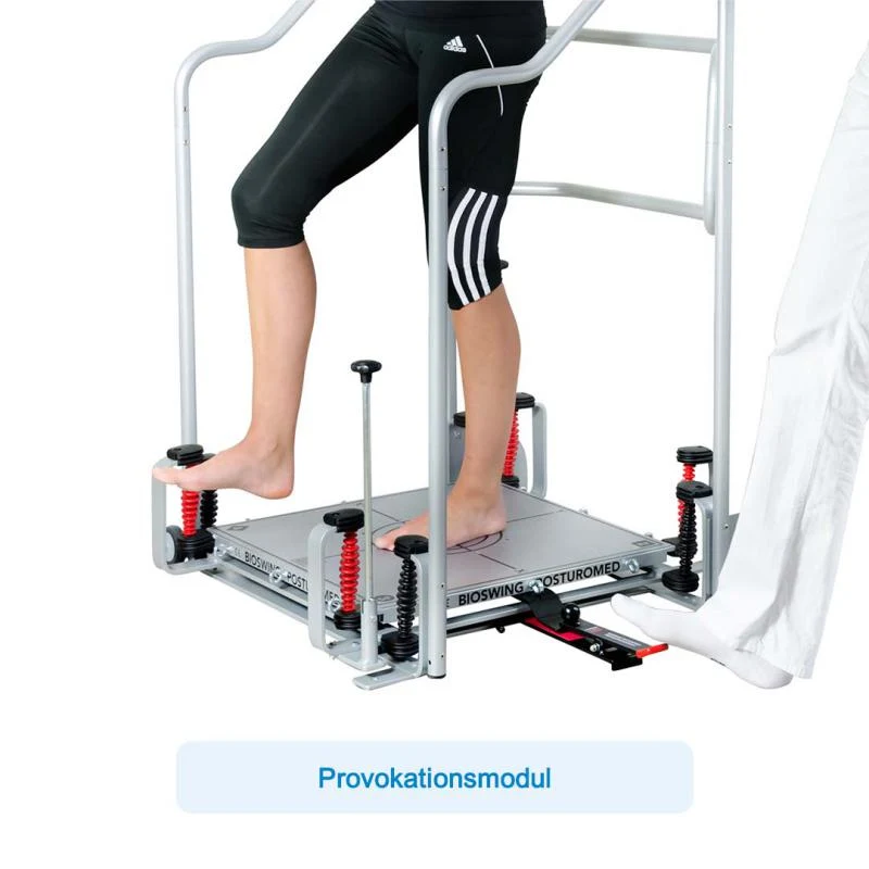 Bioswing Posturomed 202