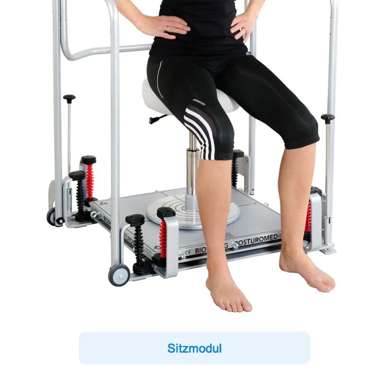 Bioswing Posturomed 202