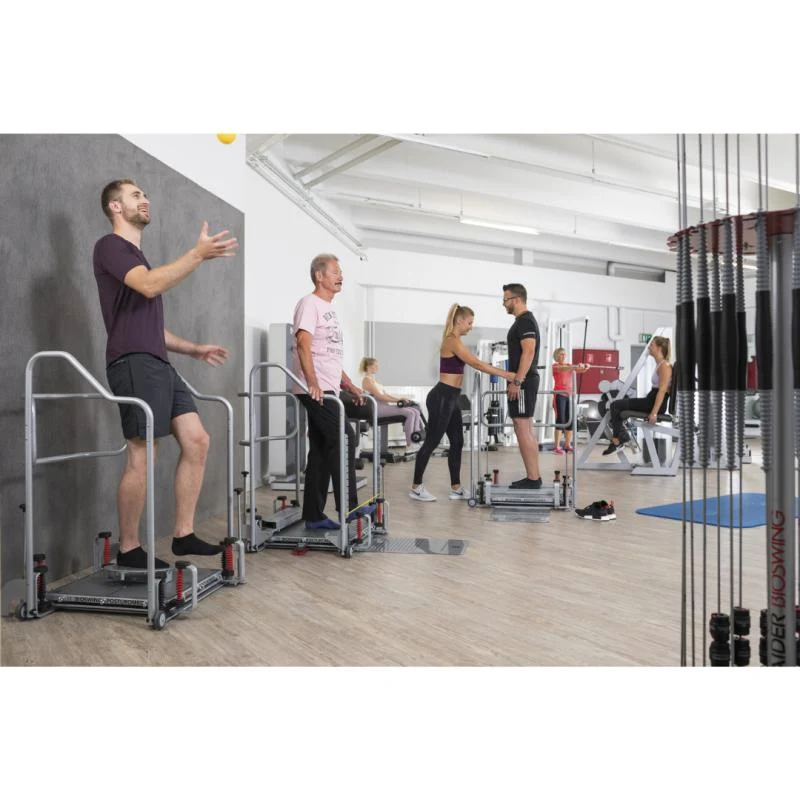 Bioswing Posturomed 202