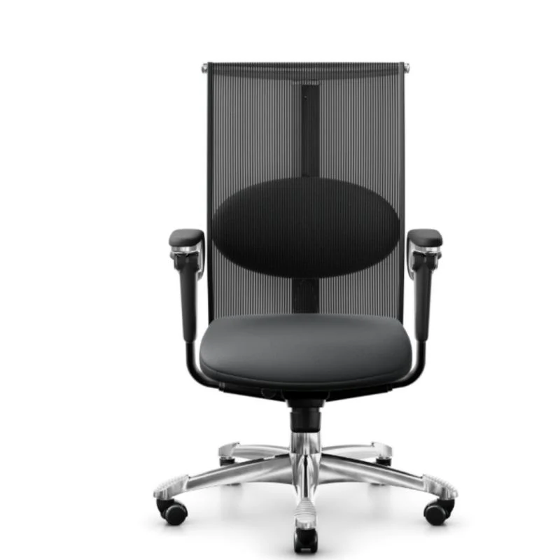 HAG H09 Inspiration Mittlerer Netzrücken