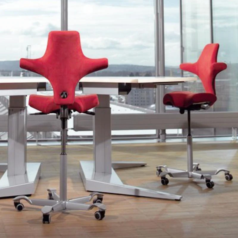 Sattelstuhl HAG Capisco 8106 (Bestseller)