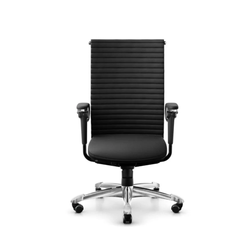 HAG H09 Excellence Mittlere Rückenlehne
