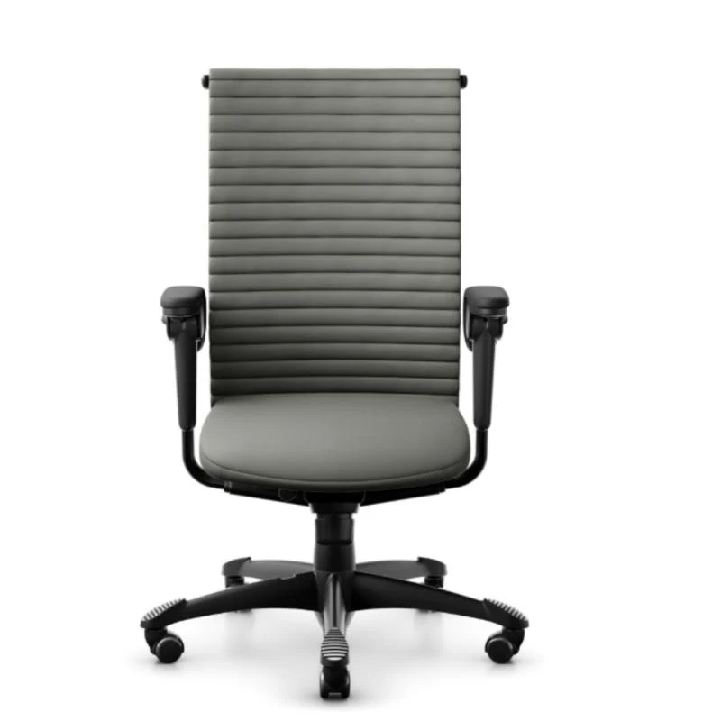 HAG H09 Excellence Mittlere Rückenlehne