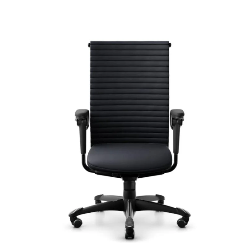 HAG H09 Excellence Mittlere Rückenlehne