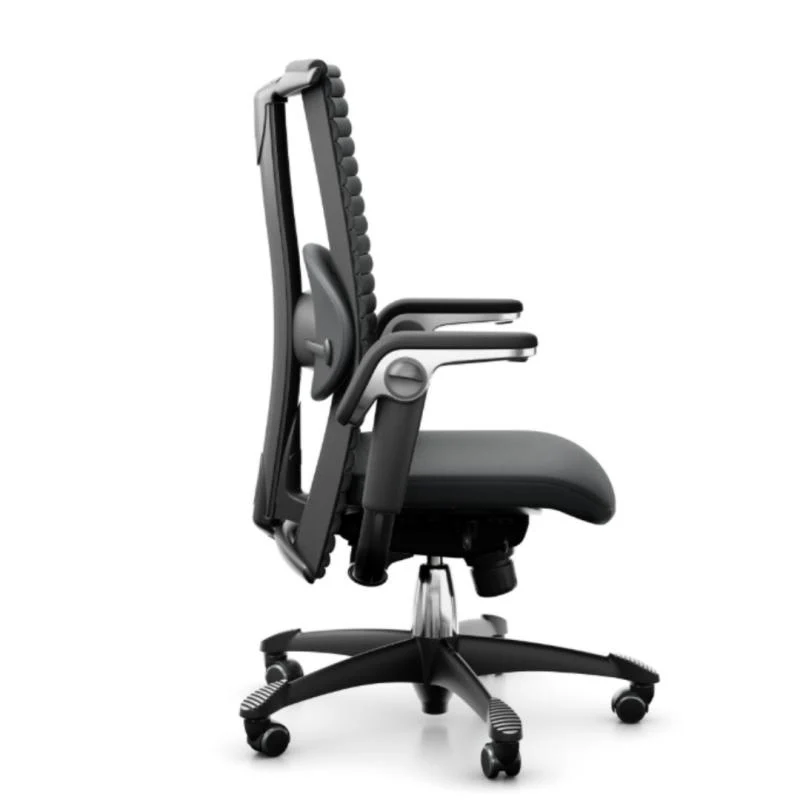 HAG H09 Excellence Mittlere Rückenlehne