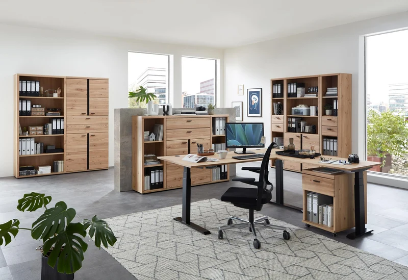 Büroschrank SONOS HU12 Front Altesche Massivholz gebürstet