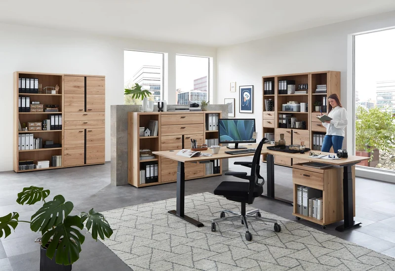 Büroregal SONOS HU06 Front Altesche Massivholz gebürstet