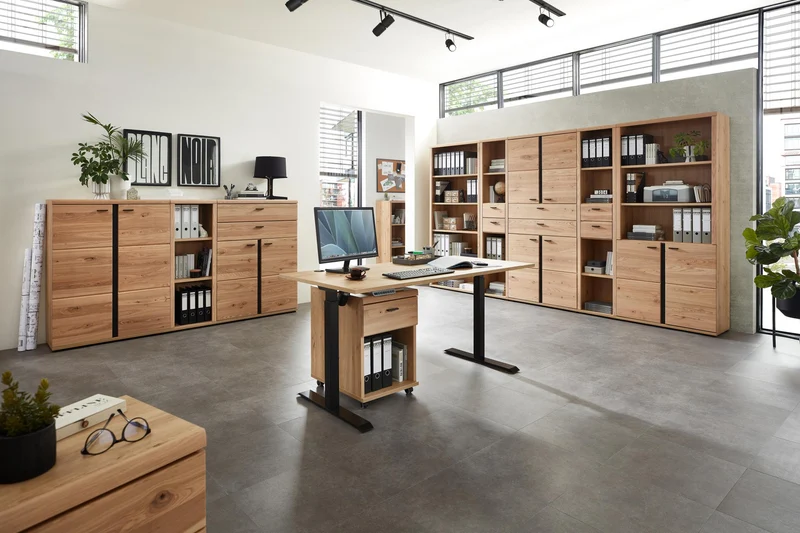 Büroschrank SONOS HU03 Front Altesche Massivholz gebürstet