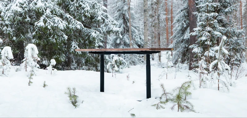 Alive Oak Standing Desk