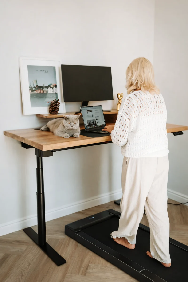 Walking Office Treadmill