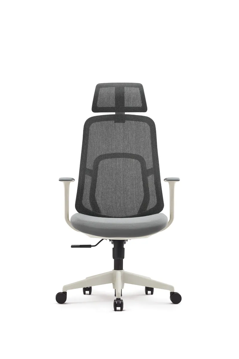 SZEEO ERGONOMIC OFFICE CHAIR M22