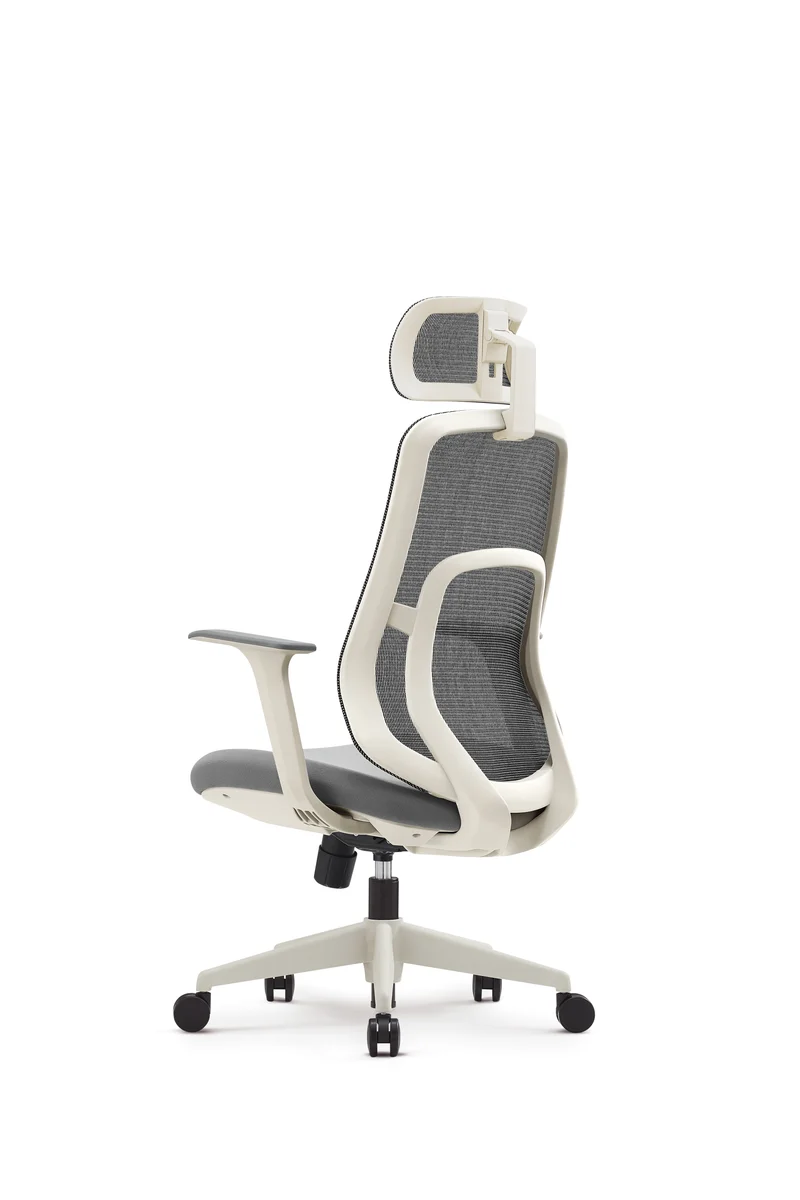 SZEEO ERGONOMIC OFFICE CHAIR M22