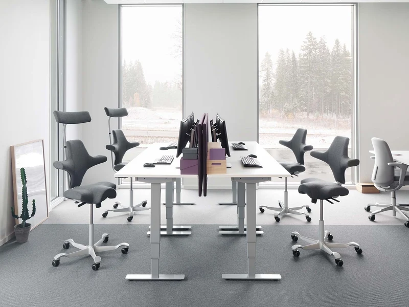 HÅG Capisco 8106 Ergonomic Office Chair White, Cura Dark Grey