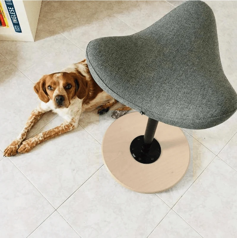Move Stool