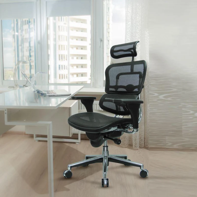 Ergohuman High or Mid Back