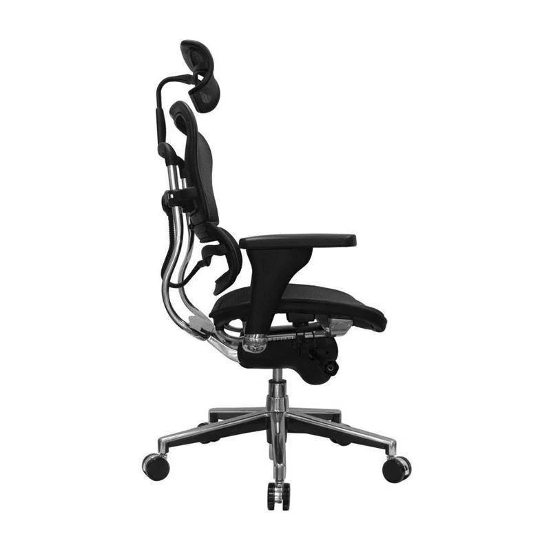 Ergohuman High or Mid Back