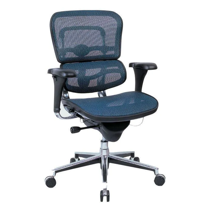 Ergohuman High or Mid Back