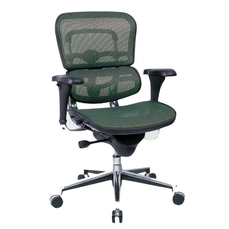 Ergohuman High or Mid Back