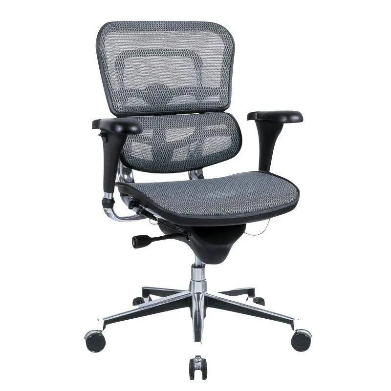 Ergohuman High or Mid Back