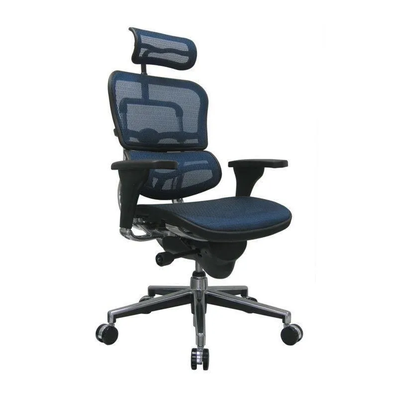 Ergohuman High or Mid Back