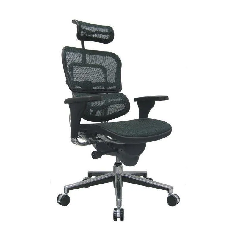 Ergohuman High or Mid Back