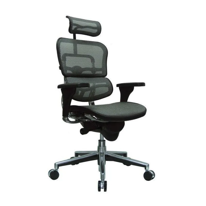 Ergohuman High or Mid Back