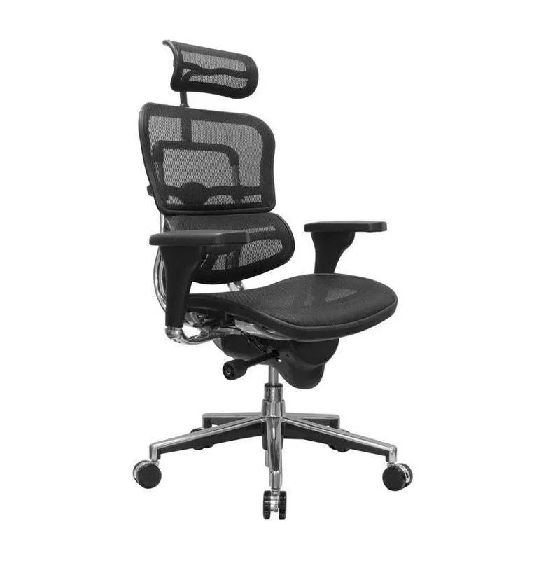 Ergohuman High or Mid Back