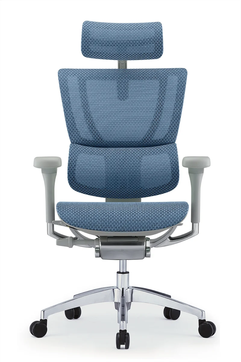Ergohuman IOO Elite 2.0 Carlos Ergonomic Office Chair