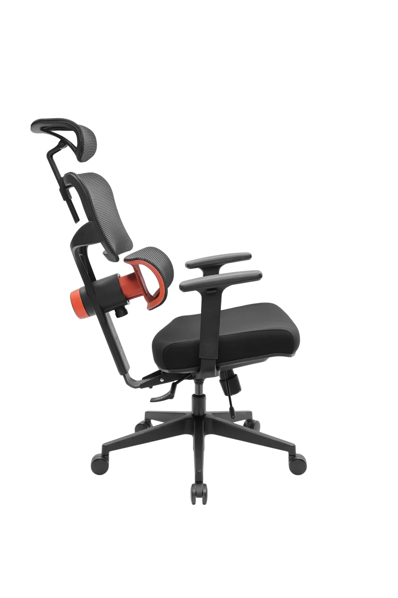 NEWTRAL NT001 Ergonomic Chair Office Chair