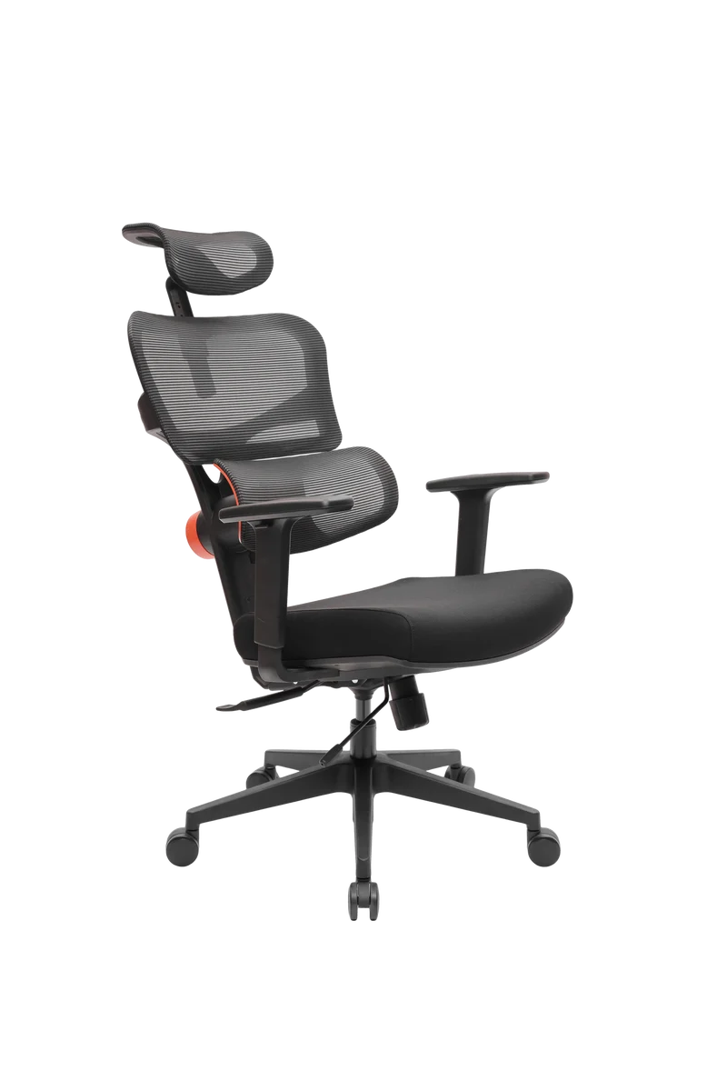 NEWTRAL NT001 Ergonomic Chair Office Chair
