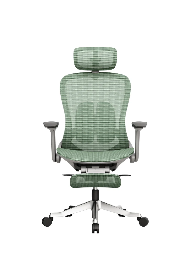Protectwo Back Ergonomic Office Chair -A99