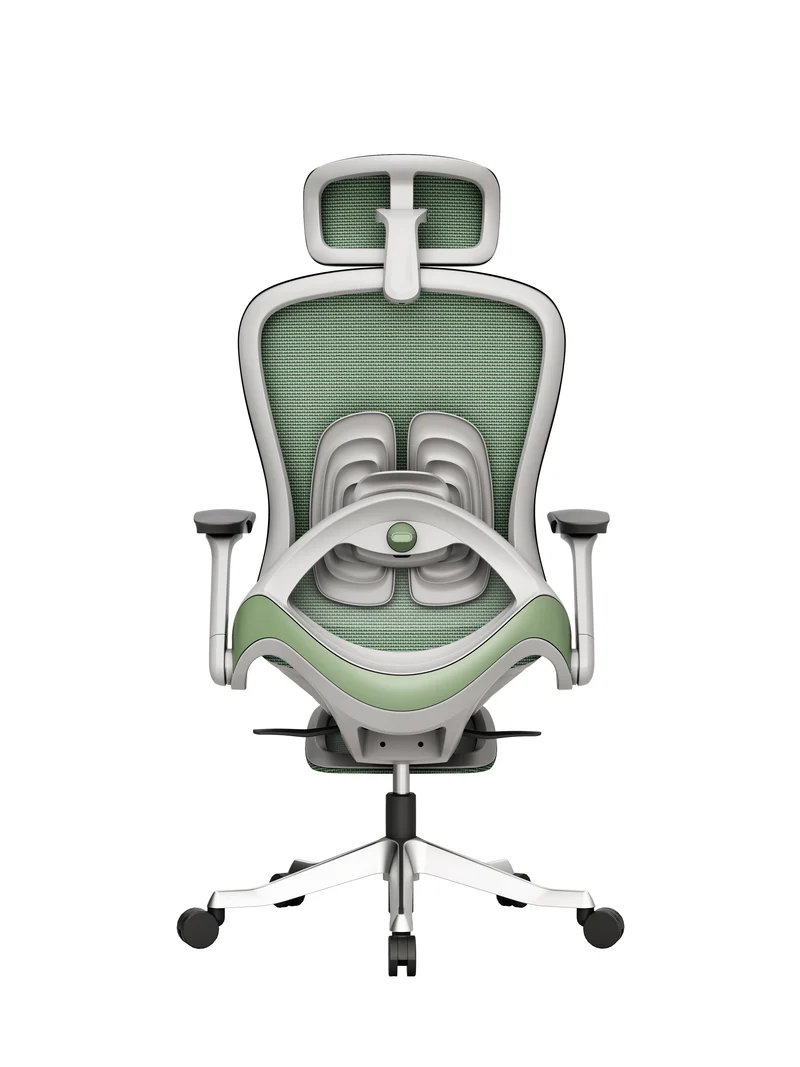 Protectwo Back Ergonomic Office Chair -A99