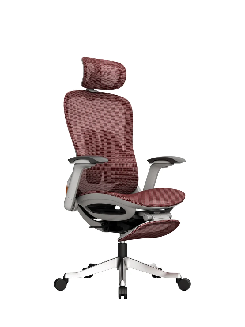 Protectwo Back Ergonomic Office Chair -A99