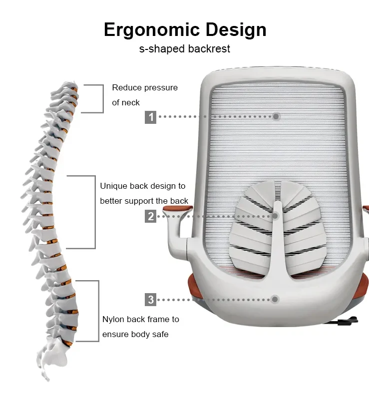 Protectwo Back Ergonomic Office Chair -B90
