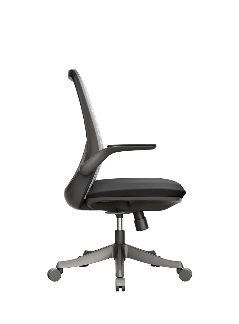 Protectwo Back Ergonomic Office Chair -B90