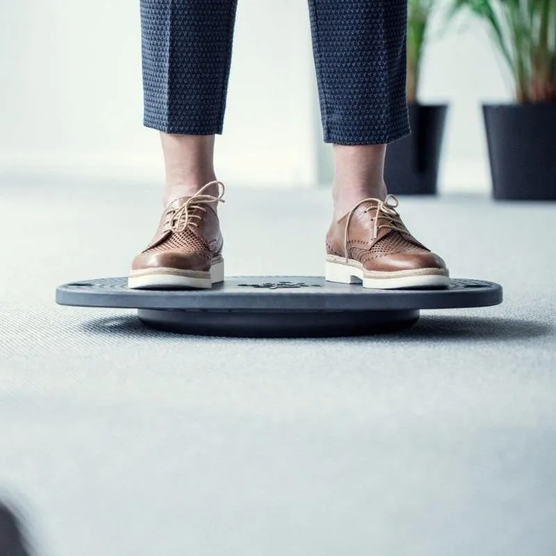 Backapp 360 Balance Board