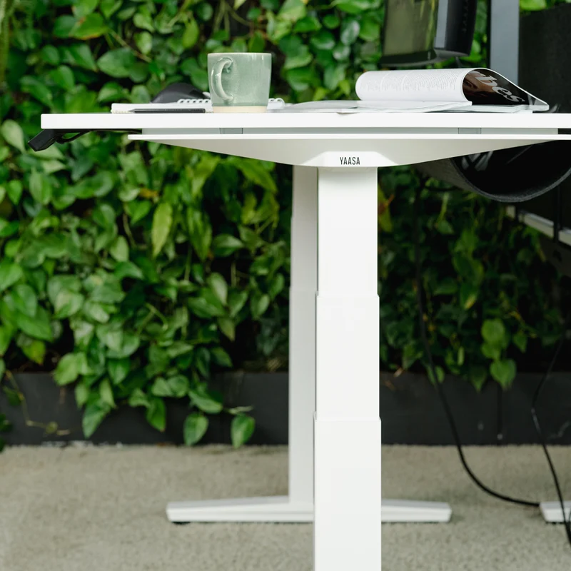 Expert Set: Desk & Chair Expert