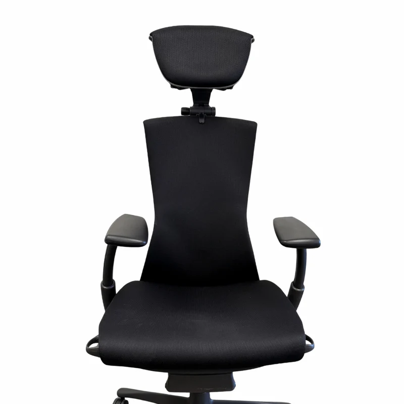 Herman Miller Embody Chair and OLS Headrest Saving Bundle