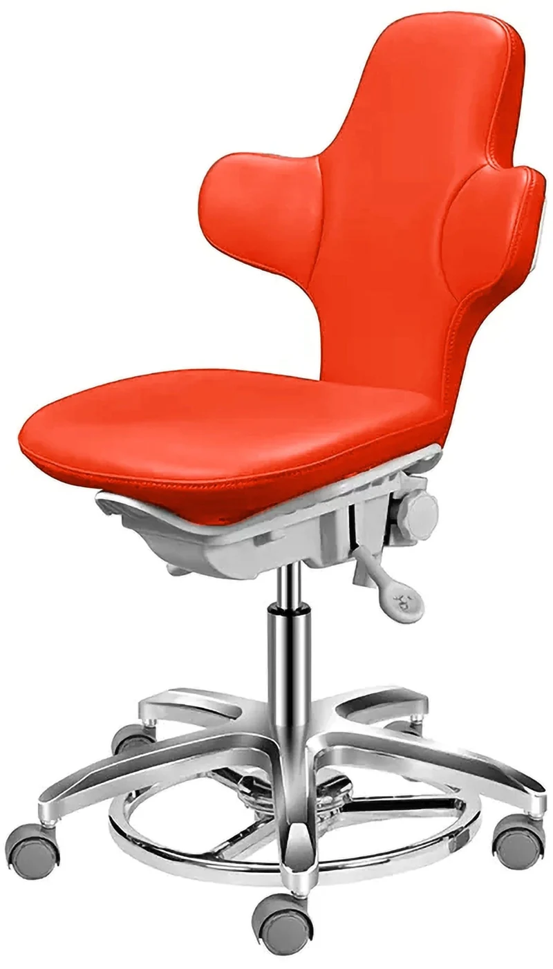 Luce Chair - Ergonomic Comfort for Versatile Workspaces