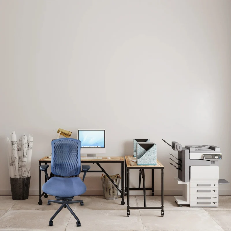 Herman Miller Celle Chair Fully Loaded (Renewed)