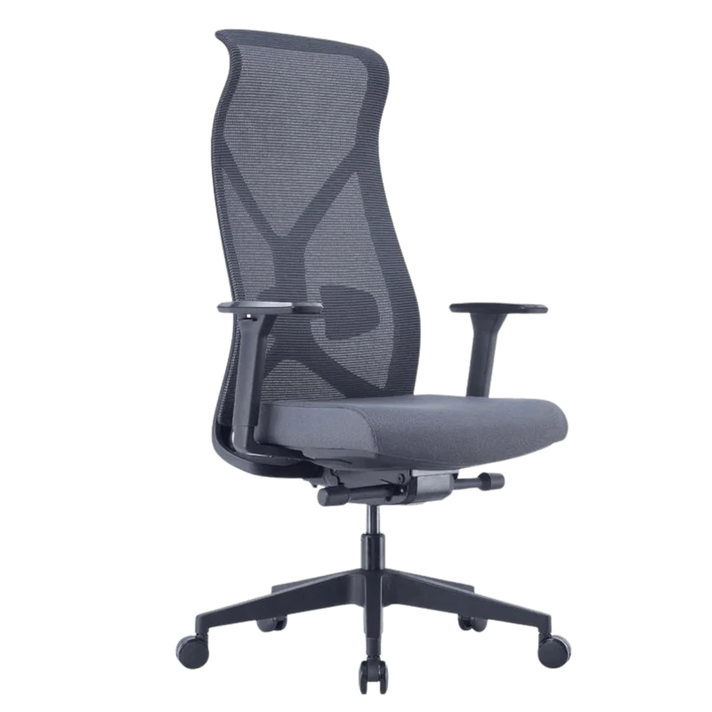 Nova Logix Ergonomic Chair