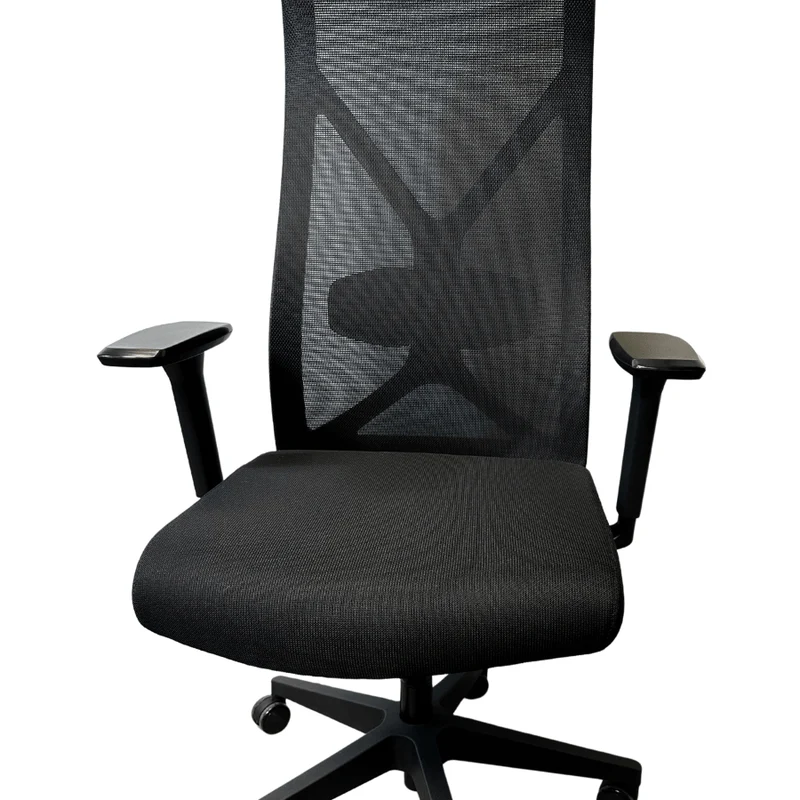 Nova Logix Ergonomic Chair