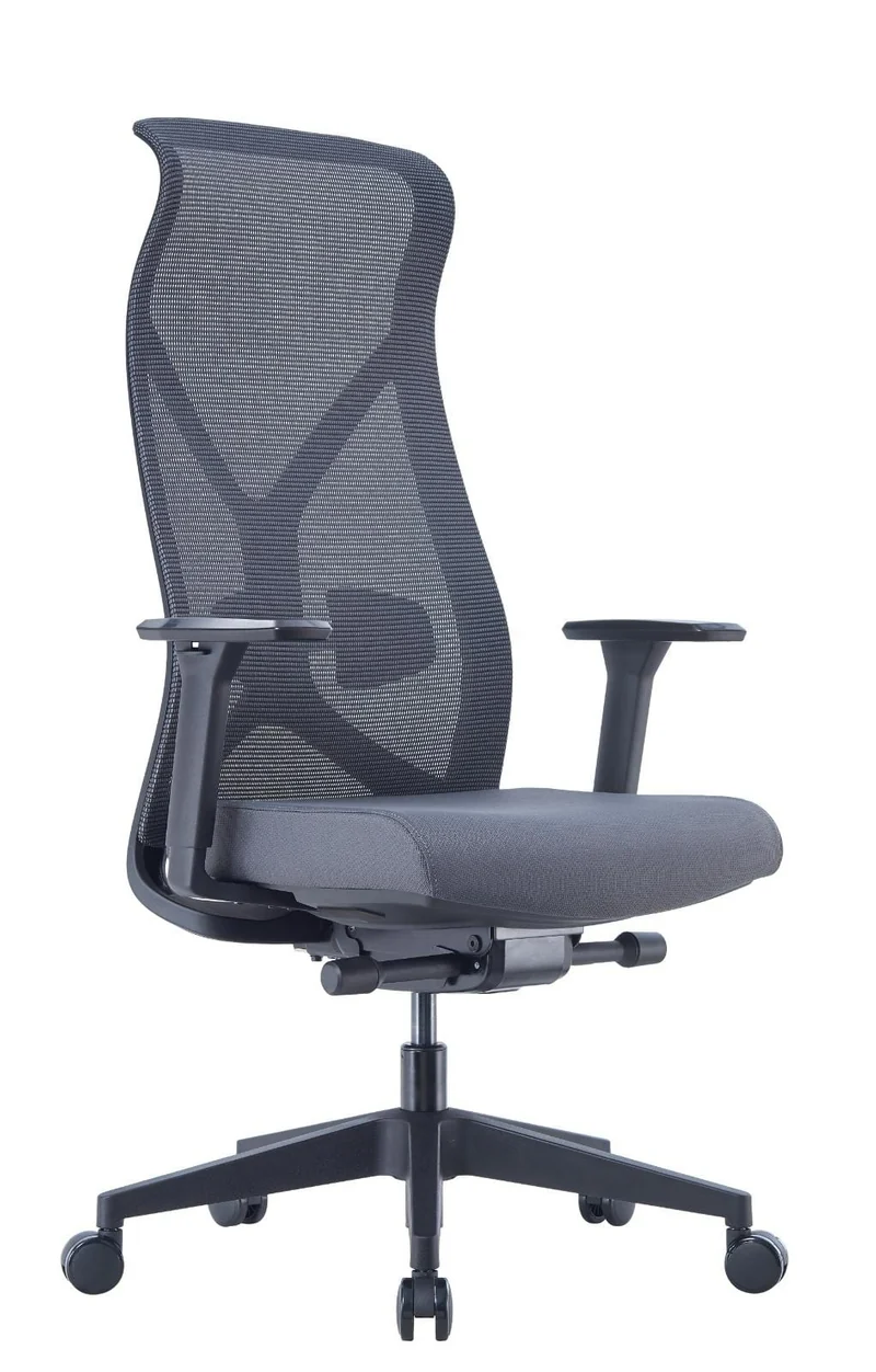 Nova Logix Ergonomic Chair